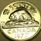 PROOF CANADA 1977 BEAVER FIVE CENTS~SUPER~FREE SHIPPING