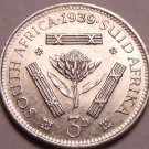 Unc Silver South Africa 1939 3 Pence~Protea Flower~Free Shipping Unc Silver South Africa 1939 3 Pence~Protea Flower~Free Shipping