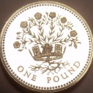 Rare Proof Great Britain 1991 Pound~10,000 Minted~DECUS ET TUTAMEN~Free Shipping