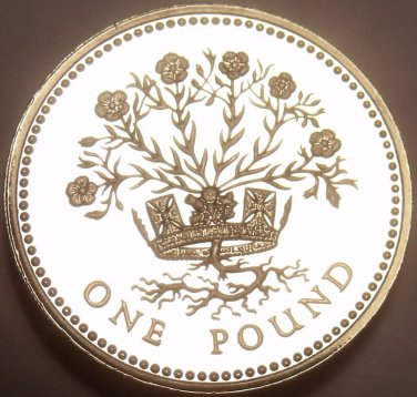 Rare Proof Great Britain 1991 Pound~10,000 Minted~DECUS ET TUTAMEN~Free Shipping