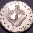 Rare Proof Hungary 2009-BP 20 Forint~Only 5,000 Minted~Hungarian Iris~Free Ship Rare Proof Hungary 2009-BP 20 Forint~Only 5,000 Minted~Hungarian Iris~Free Ship
