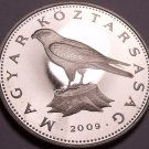 Large Rare Proof Hungary 2009-BP 50 Forint~Only 5,000 Minted~Saker Falcon~Fr/Shi