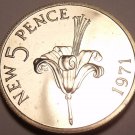 Rare Proof Guernsey 1971 5 Pence~Only 10,000 Minted~Guernsey Lily~Free Shipping