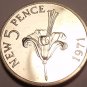 Rare Proof Guernsey 1971 5 Pence~Only 10,000 Minted~Guernsey Lily~Free Shipping