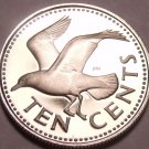 Cameo Proof Barbados 1975 10 CENTS~Bonaparte Tern~Only 20,000 Minted~Free Ship