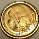 Cameo Proof Australia 1981 Cent~Only 86,000 Minted~Feathered Tailed Glider~Fr/Sh