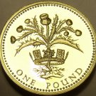 Cameo Proof Great Britain 1984 Pound~107,000 Minted~DECUS ET TUTAMEN~Free Ship Cameo Proof Great Britain 1984 Pound~107,000 Minted~DECUS ET TUTAMEN~Free Ship