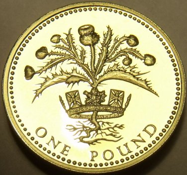 Cameo Proof Great Britain 1984 Pound~107,000 Minted~DECUS ET TUTAMEN~Free Ship