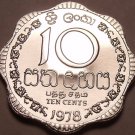 Rare Proof Sri Lanka 1978 10 Cents~Only 20,000 Minted~Scalloped~Free Shipping Rare Proof Sri Lanka 1978 10 Cents~Only 20,000 Minted~Scalloped~Free Shipping