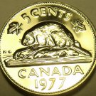 Proof Canada 1977 5 Cents~Beaver Nickel~We Have Canadian Proofs~Free Shipping