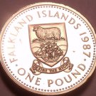 Rare Proof Falkland Islands 1987 Pound~2,500 Minted~Desire The Right~Free Ship Rare Proof Falkland Islands 1987 Pound~2,500 Minted~Desire The Right~Free Ship