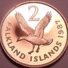 Rare Cameo Proof Falkland Islands 1987 2 Pence~Only 2,500 Minted~Upland Goose~FS