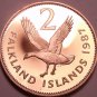 Rare Cameo Proof Falkland Islands 1987 2 Pence~Only 2,500 Minted~Upland Goose~FS