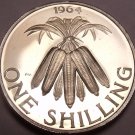 Rare Proof Malawi 1964 Shilling~10,000 Minted~Bundled Corncobs~1st Year~Free Shi Rare Proof Malawi 1964 Shilling~10,000 Minted~Bundled Corncobs~1st Year~Free Shi