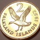 Large Unc Falkland Islands 1992 2 Pence~Upland Goose~We Have Unc Coins~Free Ship