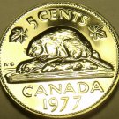 Proof Canada 1977 5 Cents~Beaver Nickel~225,307 Minted~We Have Canadian~Free Shi