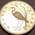 Rare Proof Hungary 2009-BP 5 Forint~Only 5,000 Minted~Great White Egrat~Free Shi Rare Proof Hungary 2009-BP 5 Forint~Only 5,000 Minted~Great White Egrat~Free Shi