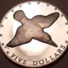 Rare Silver Proof Cook Islands 1976 $5.00~28,000 Minted~Mangara Kingfisher~Fr/Sh Rare Silver Proof Cook Islands 1976 $5.00~28,000 Minted~Mangara Kingfisher~Fr/Sh