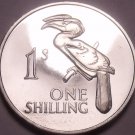 Rare Proof Zambia 1964 Shilling~Only 5,000 Minted~Crowned Hornbill~Free Shipping