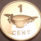Rare Cameo Proof Solomon Islands 1982 F.A.O. Issue Cent~1,368 Minted~Free Ship