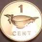 Rare Cameo Proof Solomon Islands 1982 F.A.O. Issue Cent~1,368 Minted~Free Ship