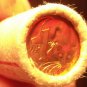 Gem Unc Original Roll (50) Australia 1978 Cents~Feather Tailed Glider~Free Ship