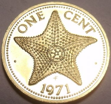 Rare Proof Bahamas 1971 Cent~Awesome Starfish~Only 31,000 Minted~Free Shipping