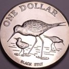 Rare Gem Unc New Zealand 1985 Dollar~60,000 Minted~Black Stilt~Excellent~Free Sh Rare Gem Unc New Zealand 1985 Dollar~60,000 Minted~Black Stilt~Excellent~Free Sh