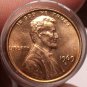 United States Unc Roll (50) 1969-D Lincoln Cents~Free Shipping