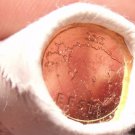 Gem Unc Original Roll (50 Coins) Estonia 2012 1 Euro Cents~Map Of Estonia~Fr/Shi Gem Unc Original Roll (50 Coins) Estonia 2012 1 Euro Cents~Map Of Estonia~Fr/Shi
