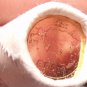 Gem Unc Original Roll (50 Coins) Estonia 2012 1 Euro Cents~Map Of Estonia~Fr/Shi