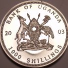 Silver Proof Uganda 2003 1,000 Shillings~Gorillas Of Africa~Seated~Free Shipping