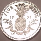 Rare Proof Bahamas 1971 5 Cents~Pineapple~1st Year Ever~31,000 Minted~Free Ship Rare Proof Bahamas 1971 5 Cents~Pineapple~1st Year Ever~31,000 Minted~Free Ship