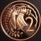 Rare Cameo Proof New Zealand 1986 2 Cents~10,000 Minted~Kowhai Leaves~Free Ship