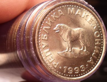 Gem Unc Roll (40) Macedonia 1993 1 Denar~Sheep Dog~1st Year Ever For Coinage~F/S