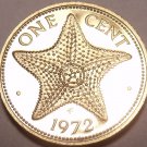 Rare Proof Bahamas 1972 Cent~Starfish~Only 35,000 Ever Made~Free Shipping