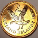 Rare Proof Falkland Islands 1974 2 Pence~Upland Goose~Only 23,000 Minted~