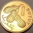 Gem Unc Gambia 1998 1 Butut~Cluster Of Peanuts~Fantastic~Free Shipping