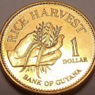 Gem Unc Guyana 1996 Dollar~Only Year Minted~Rice Harvest~Free Shipping Gem Unc Guyana 1996 Dollar~Only Year Minted~Rice Harvest~Free Shipping