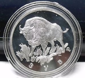 Fantasy Silver-Plated Proof Russia 1997 Rouble~European Bison~Free Shipping