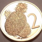 Rare Cameo Proof Cook Islands 1973 2 Cents~13,000 Minted~Pineapple~Free Shipping Rare Cameo Proof Cook Islands 1973 2 Cents~13,000 Minted~Pineapple~Free Shipping