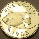 Rare Proof Bermuda 1983 5 Cents~Queen Angel Fish~6,474 Minted~~Free Shipping