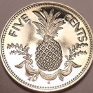 Rare Proof Bahamas 1977 5 Cents~Pineapple~Only 11,000 Minted~Free Shipping