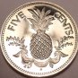 Rare Proof Bahamas 1977 5 Cents~Pineapple~Only 11,000 Minted~Free Shipping