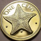Rare Proof Bahamas 1977 Cent~Starfish~11,000 Minted~Free Shipping