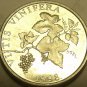 Gem Unc Croatia 1998 2 Lipe~GrapeVine~VITIS VINIFERA~Free Shipping