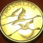 Bahamas 1985 2 Dollars Proof~Rare Only 7,500 Minted~Flamingo's In Flight~Fr/Ship