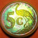 Rare South Africa 1992 Proof 5 Cents~10k Minted~Blue Craine~Rainbow Toned~Fr/Shi