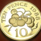 Large Rare Cameo Proof Guernsey 1988 10 Pence~2,500 Minted~Tomato Plant~Free Shi