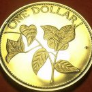 Bahamas 1985 Dollar Proof~Rare Only 7,500 Minted~Bougainvillea Flower~Free Ship